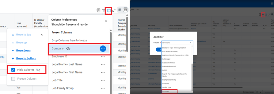 Filter and Column Management for Tables with Hidden Columns v0.1